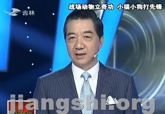 视频: 张召忠将军讲述战场动物立奇功